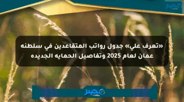 «تعرف على» جدول رواتب المتقاعدين في سلطنة عمان لعام 2025 وتفاصيل الحماية الجديدة